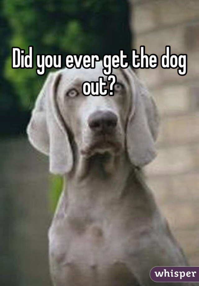 Did you ever get the dog out?