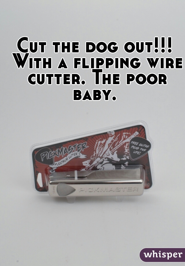 Cut the dog out!!! With a flipping wire cutter. The poor baby. 