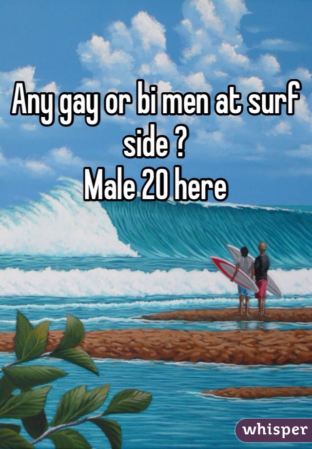 Any gay or bi men at surf side ?
Male 20 here