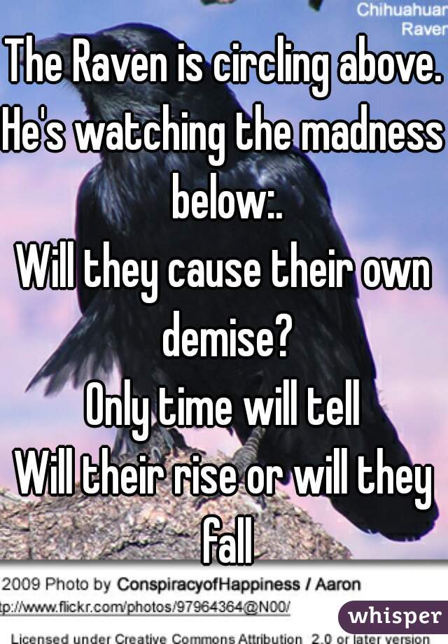 The Raven is circling above. 
He's watching the madness below:.
Will they cause their own demise?
Only time will tell
Will their rise or will they fall

