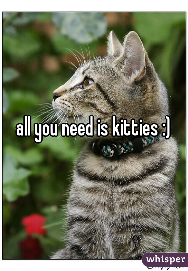 all you need is kitties :)
