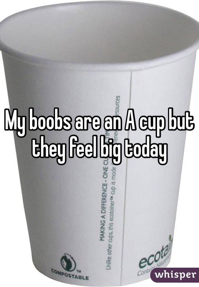My boobs are an A cup but they feel big today
