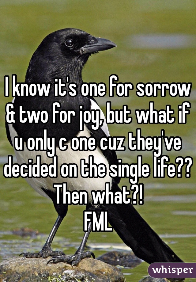 I know it's one for sorrow & two for joy, but what if u only c one cuz they've decided on the single life??
Then what?! 
FML