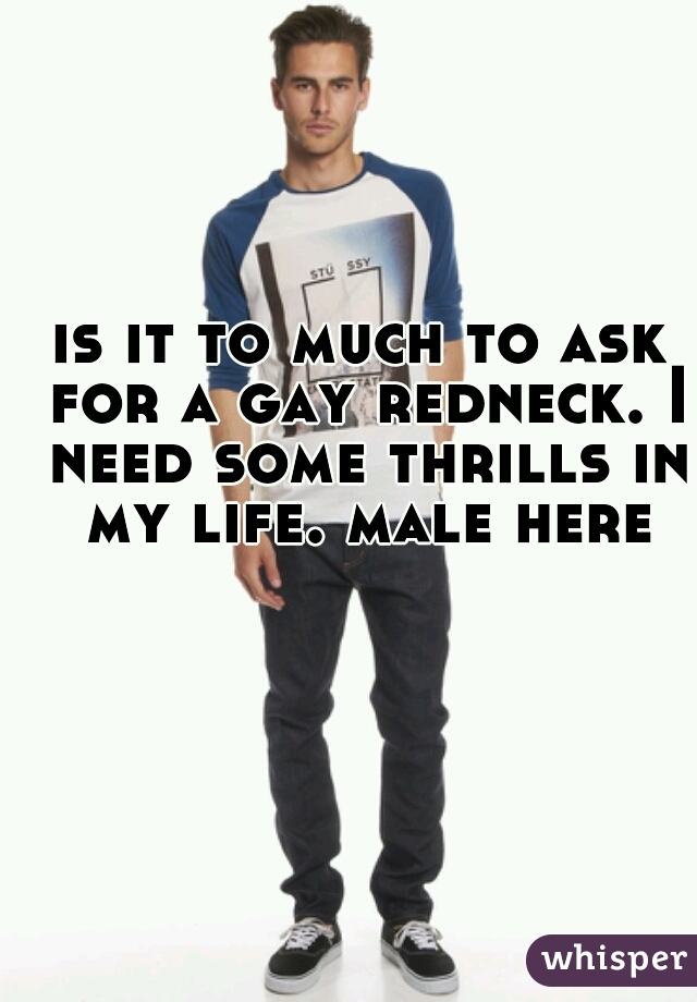 is it to much to ask for a gay redneck. I need some thrills in my life. male here