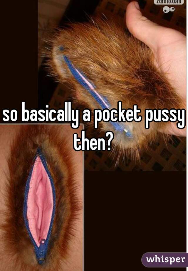 so basically a pocket pussy then? 