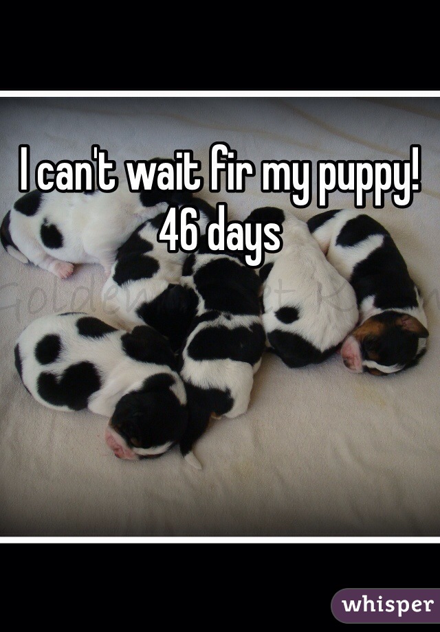 I can't wait fir my puppy! 46 days 