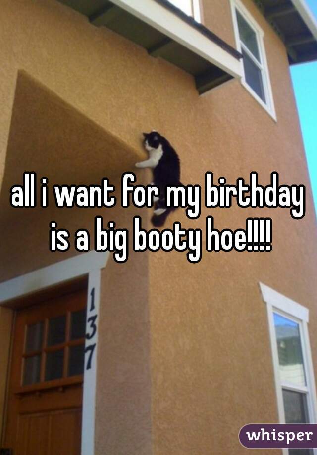 all i want for my birthday is a big booty hoe!!!!