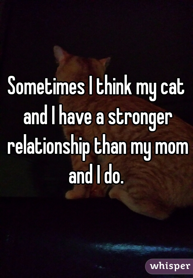Sometimes I think my cat and I have a stronger relationship than my mom and I do. 