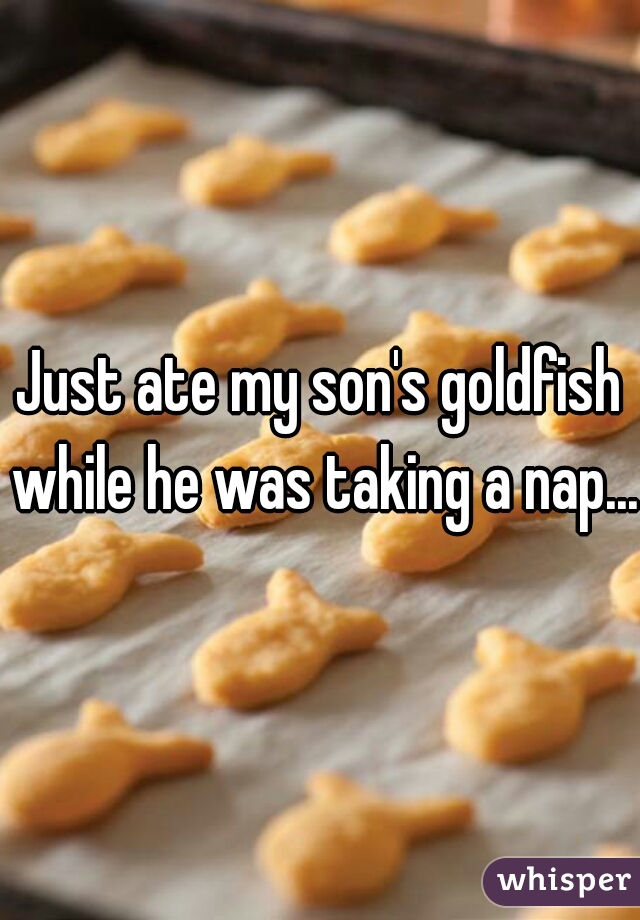 Just ate my son's goldfish while he was taking a nap...