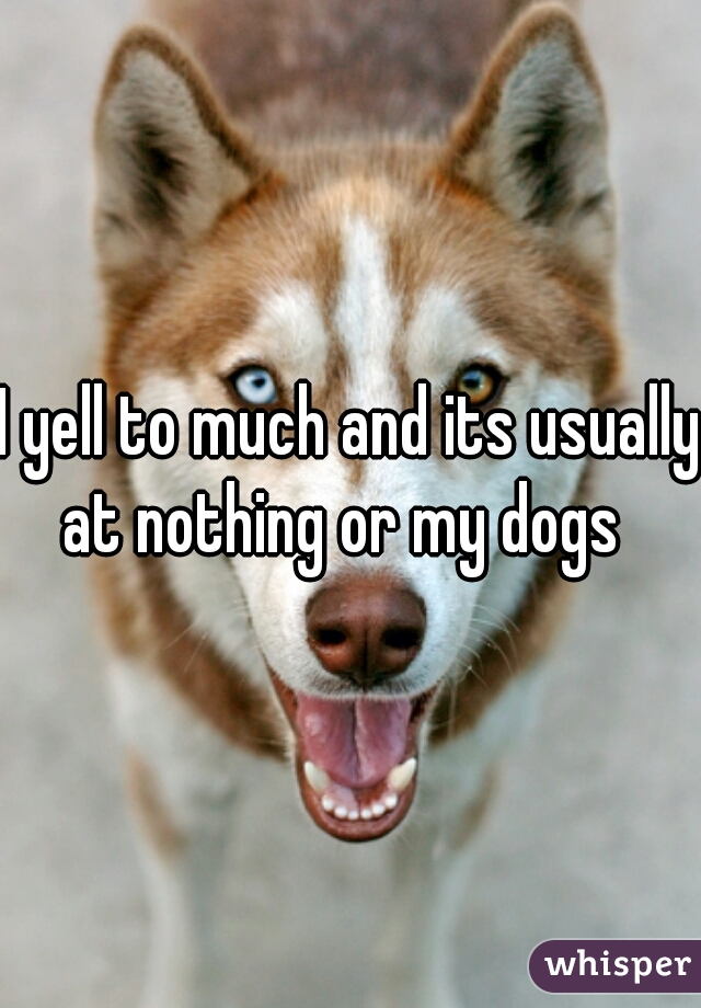 I yell to much and its usually at nothing or my dogs  