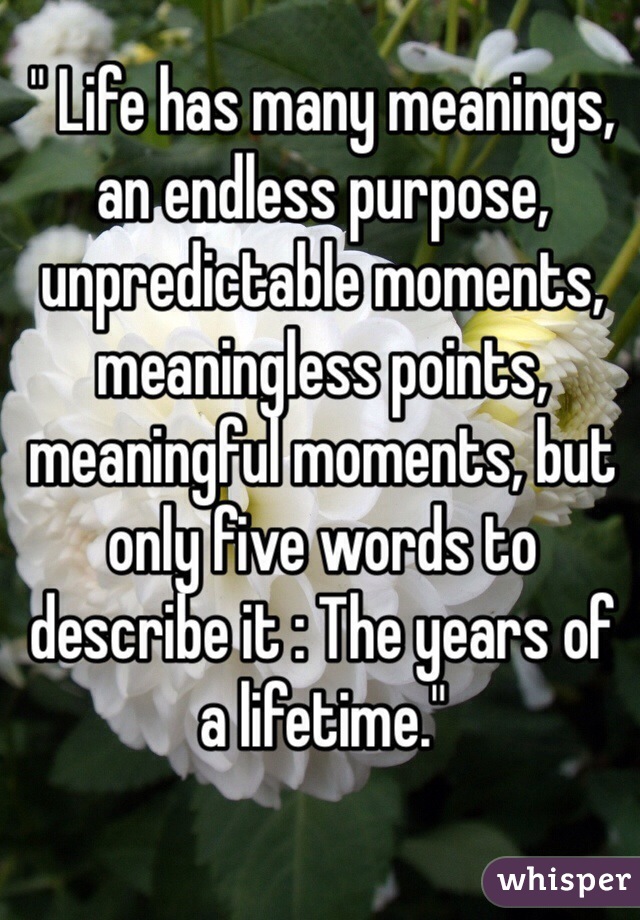 " Life has many meanings, an endless purpose, unpredictable moments, meaningless points, meaningful moments, but only five words to describe it : The years of a lifetime."