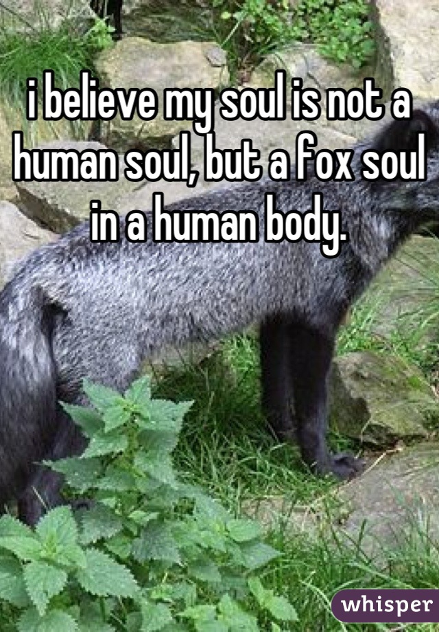 i believe my soul is not a human soul, but a fox soul in a human body.
