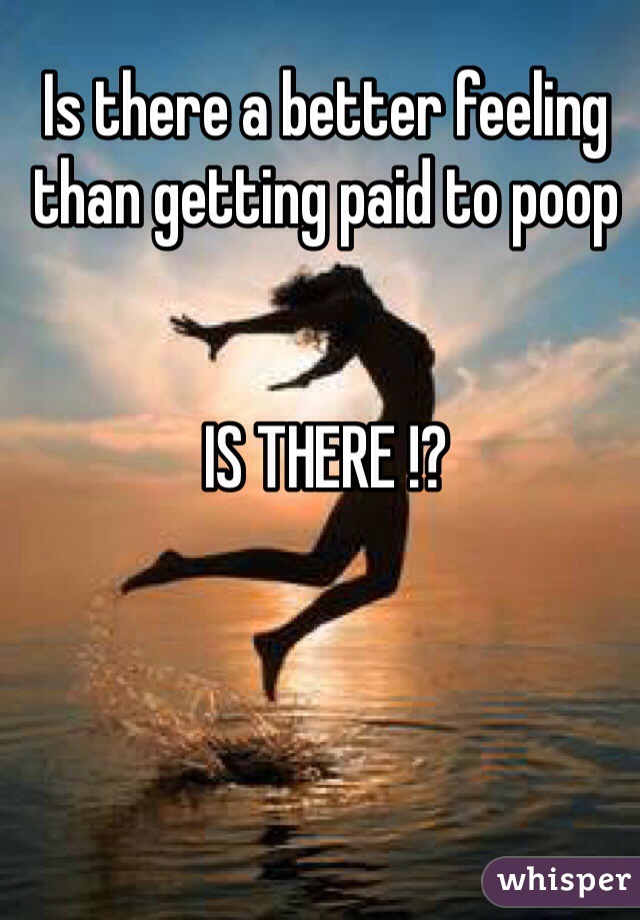 Is there a better feeling than getting paid to poop


IS THERE !?