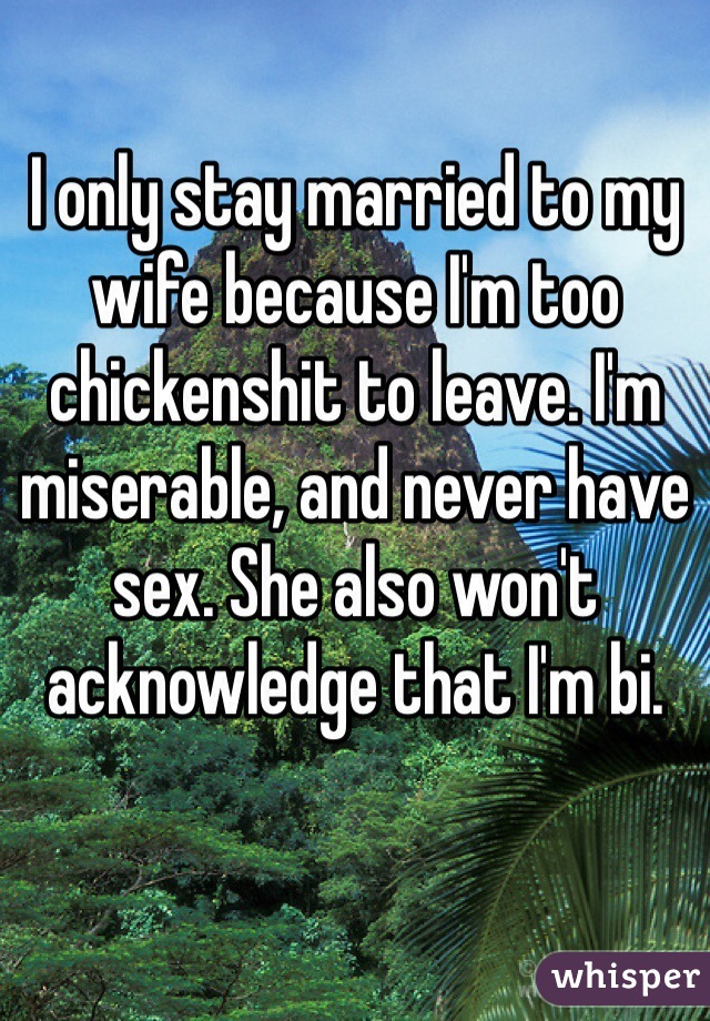 I only stay married to my wife because I'm too chickenshit to leave. I'm miserable, and never have sex. She also won't acknowledge that I'm bi. 
