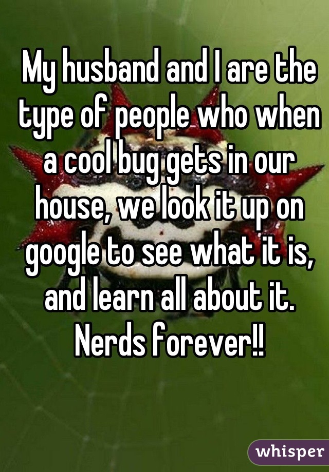 My husband and I are the type of people who when a cool bug gets in our house, we look it up on google to see what it is, and learn all about it. Nerds forever!!