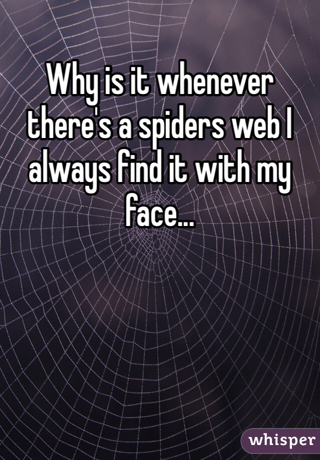 Why is it whenever there's a spiders web I always find it with my face... 