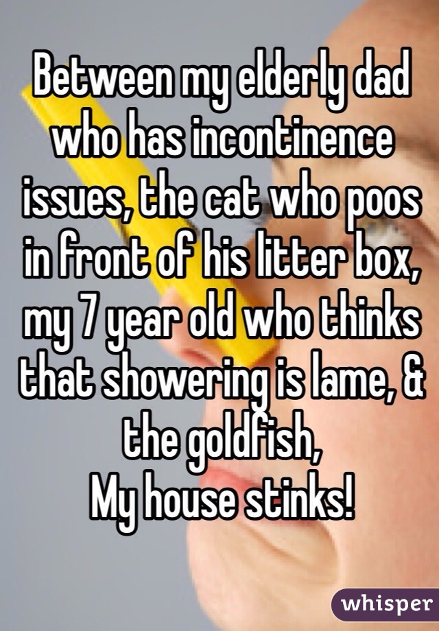 Between my elderly dad who has incontinence issues, the cat who poos in front of his litter box, my 7 year old who thinks that showering is lame, & the goldfish,
My house stinks!