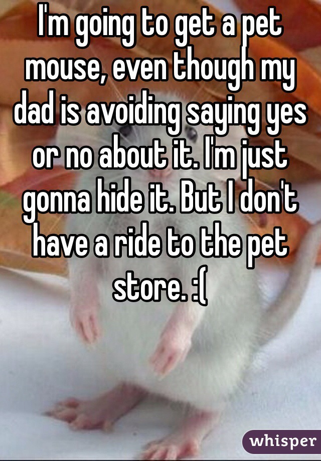 I'm going to get a pet mouse, even though my dad is avoiding saying yes or no about it. I'm just gonna hide it. But I don't have a ride to the pet store. :(