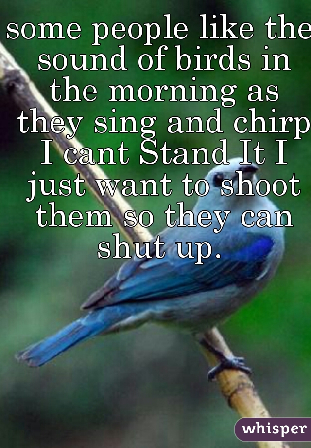 some people like the sound of birds in the morning as they sing and chirp I cant Stand It I just want to shoot them so they can shut up. 