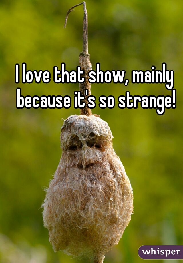 I love that show, mainly because it's so strange!