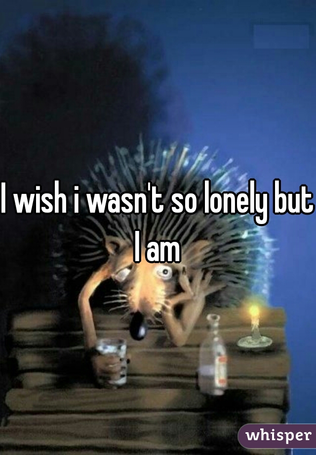 I wish i wasn't so lonely but I am 