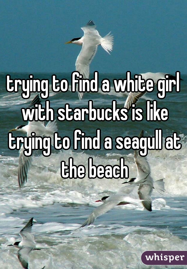 trying to find a white girl with starbucks is like trying to find a seagull at the beach