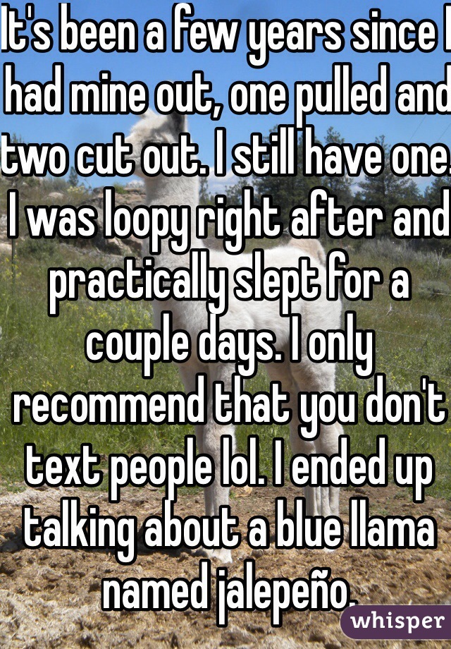 It's been a few years since I had mine out, one pulled and two cut out. I still have one. I was loopy right after and practically slept for a couple days. I only recommend that you don't text people lol. I ended up talking about a blue llama named jalepeño. 