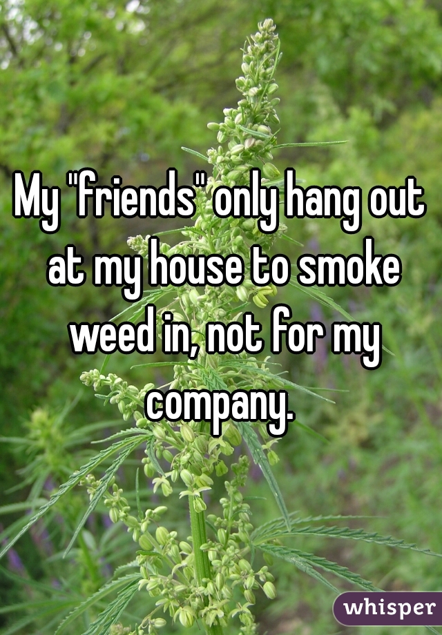 My "friends" only hang out at my house to smoke weed in, not for my company. 