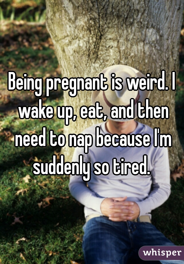 Being pregnant is weird. I wake up, eat, and then need to nap because I'm suddenly so tired. 
