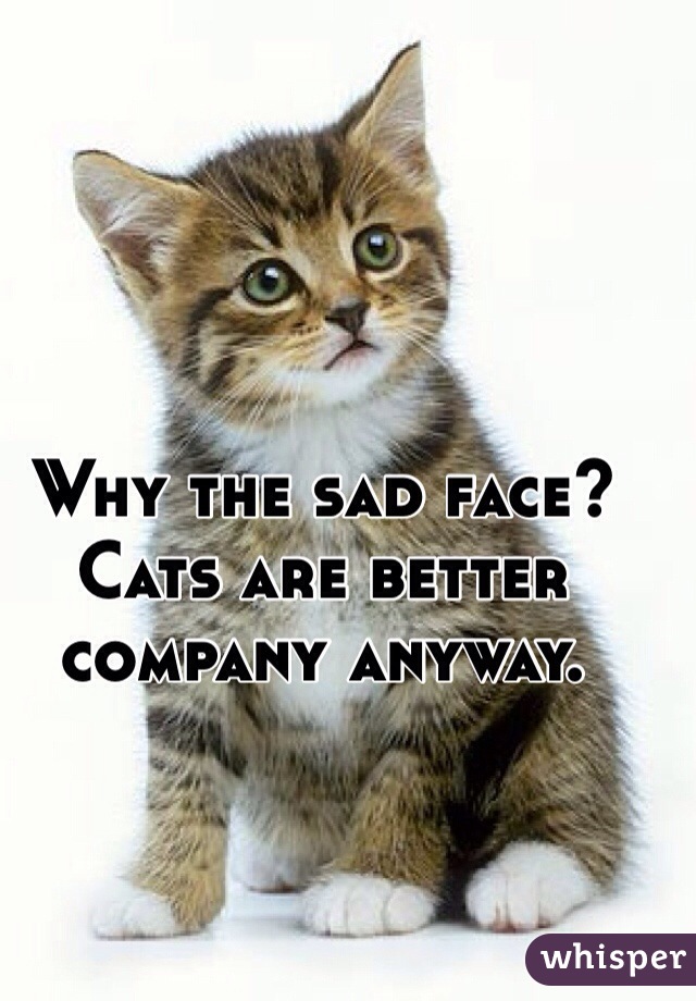 Why the sad face? Cats are better company anyway. 