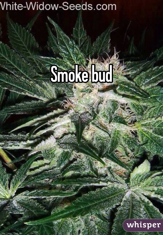 Smoke bud