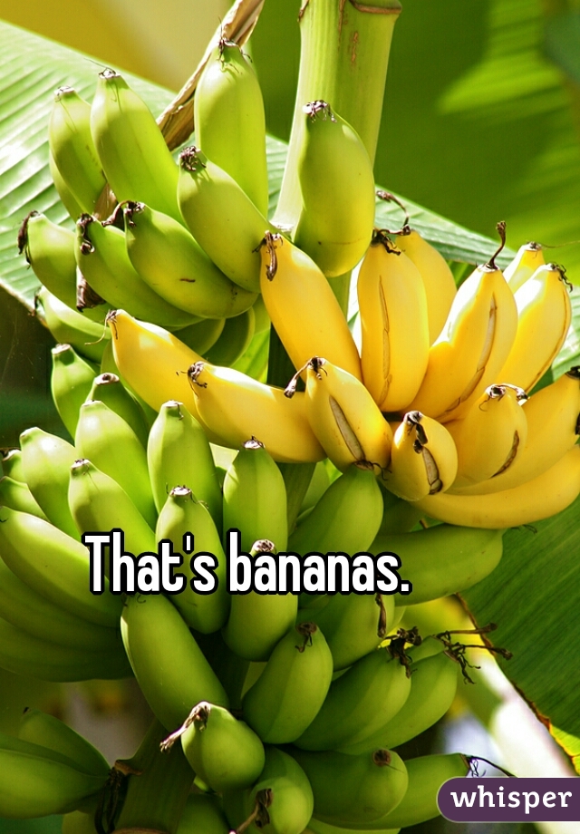 That's bananas.