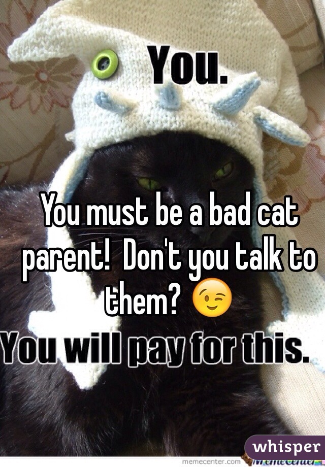 You must be a bad cat parent!  Don't you talk to them? 😉 