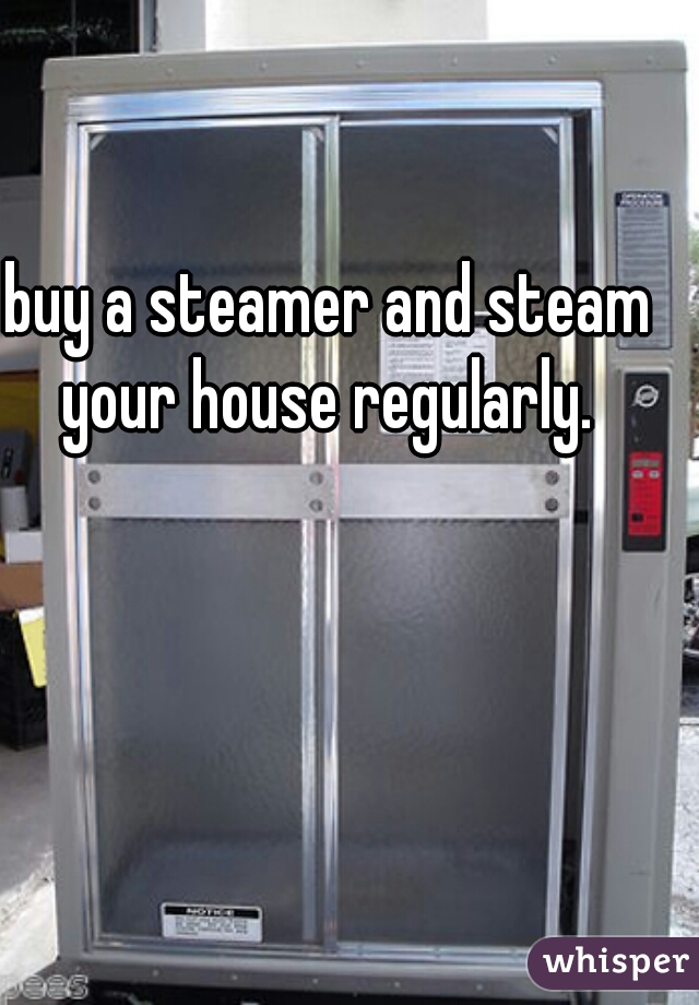 buy a steamer and steam your house regularly. 