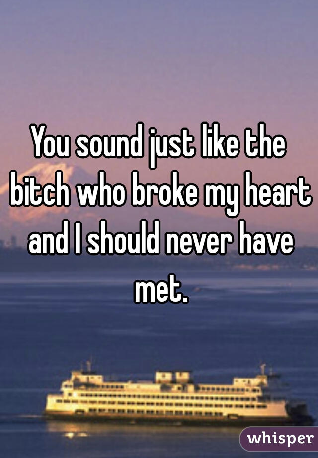 You sound just like the bitch who broke my heart and I should never have met.