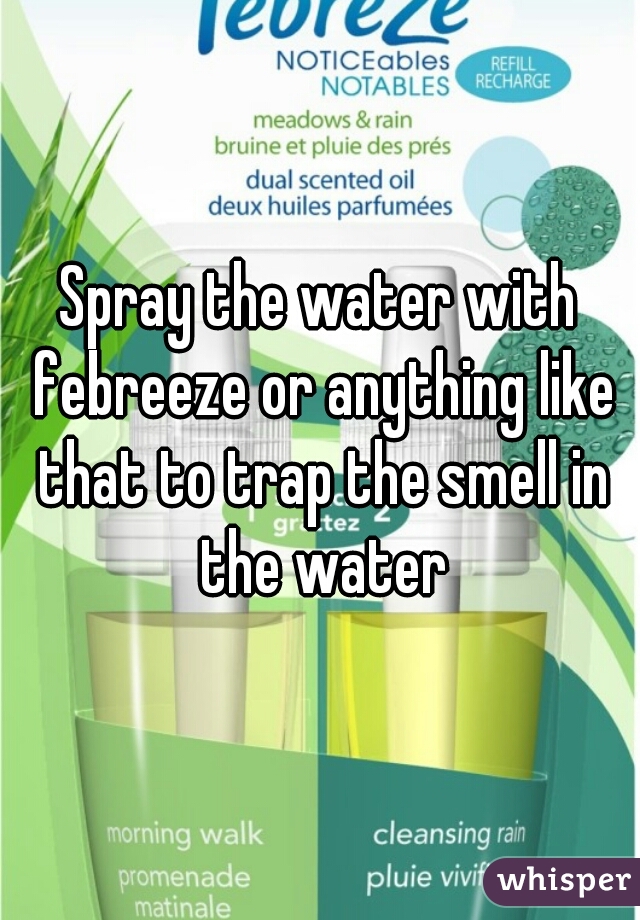 Spray the water with febreeze or anything like that to trap the smell in the water