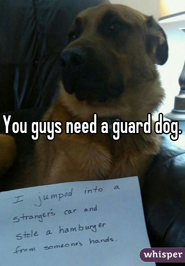 You guys need a guard dog.