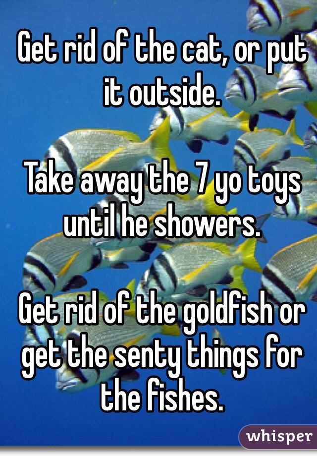 Get rid of the cat, or put it outside. 

Take away the 7 yo toys until he showers. 

Get rid of the goldfish or get the senty things for the fishes.