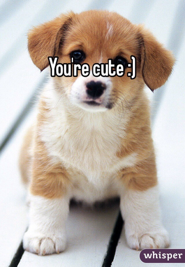You're cute :)