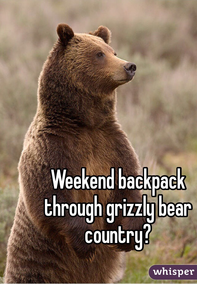 Weekend backpack through grizzly bear country?
