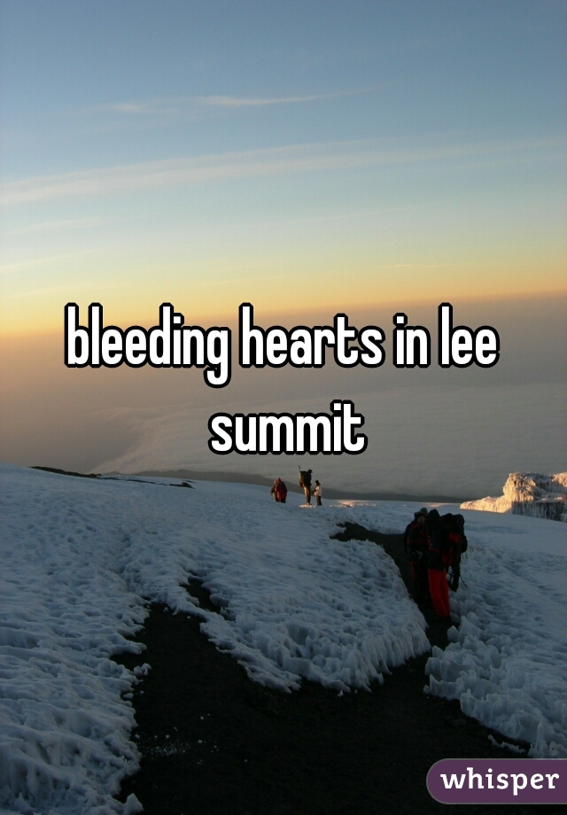 bleeding hearts in lee summit