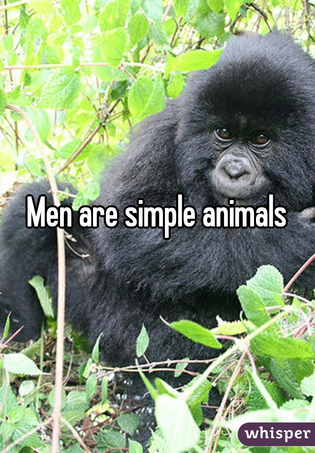 Men are simple animals