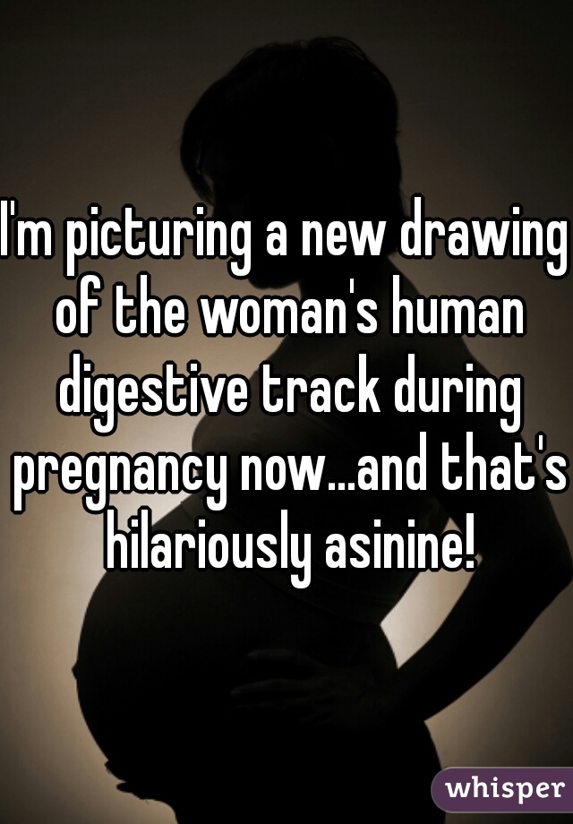 I'm picturing a new drawing of the woman's human digestive track during pregnancy now...and that's hilariously asinine!