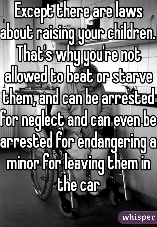 Except there are laws about raising your children. That's why you're not allowed to beat or starve them, and can be arrested for neglect and can even be arrested for endangering a minor for leaving them in the car 