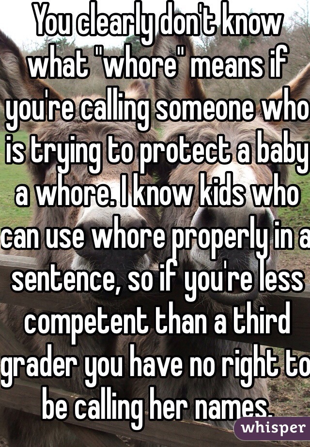 You clearly don't know what "whore" means if you're calling someone who is trying to protect a baby a whore. I know kids who can use whore properly in a sentence, so if you're less competent than a third grader you have no right to be calling her names. 