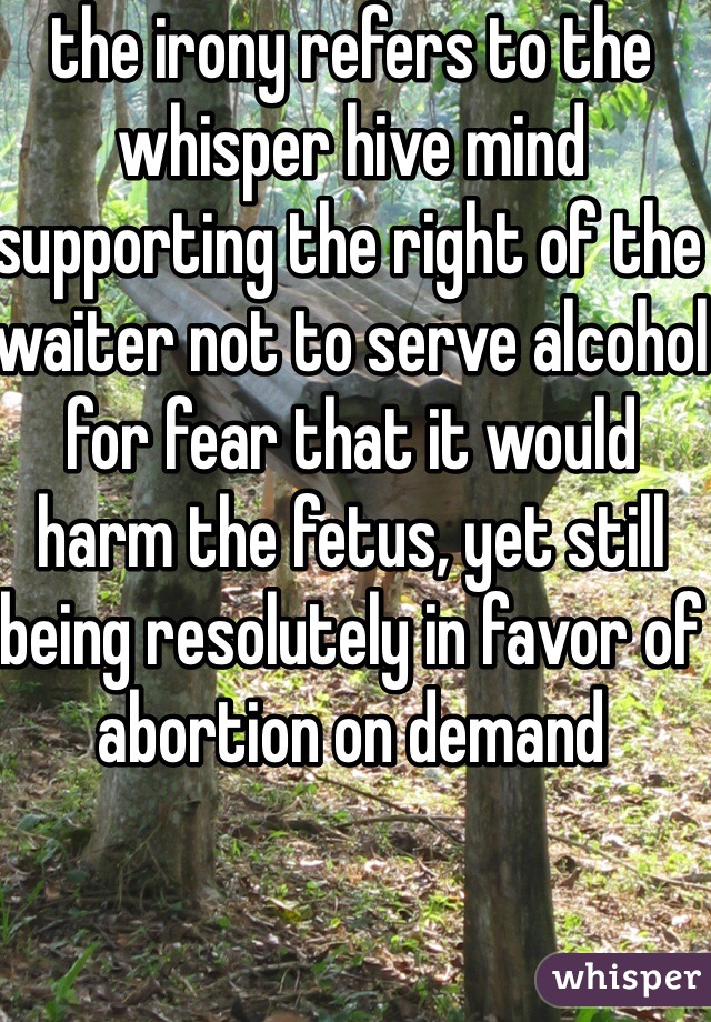 the irony refers to the whisper hive mind supporting the right of the waiter not to serve alcohol for fear that it would harm the fetus, yet still being resolutely in favor of abortion on demand