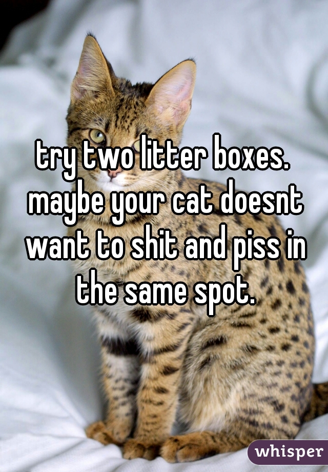 try two litter boxes. maybe your cat doesnt want to shit and piss in the same spot.