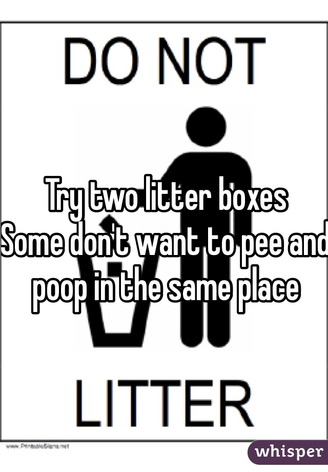 Try two litter boxes 
Some don't want to pee and poop in the same place 