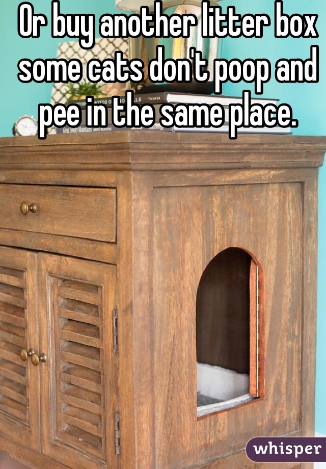 Or buy another litter box some cats don't poop and pee in the same place.