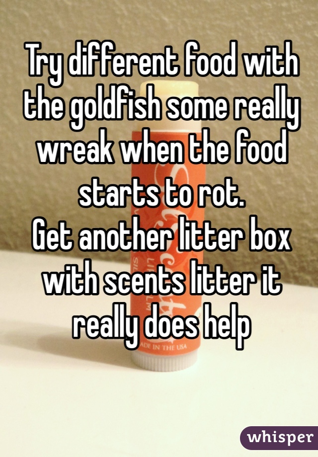 Try different food with the goldfish some really wreak when the food starts to rot. 
Get another litter box with scents litter it really does help  